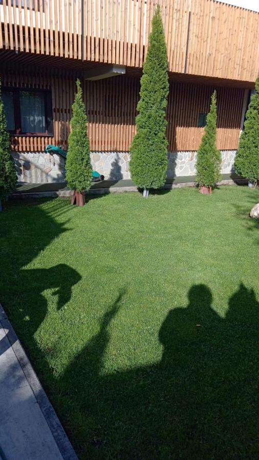 Casa Borgo Hotel Brasov Exterior photo